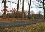 Stepelo | Aan de Beckummerweg